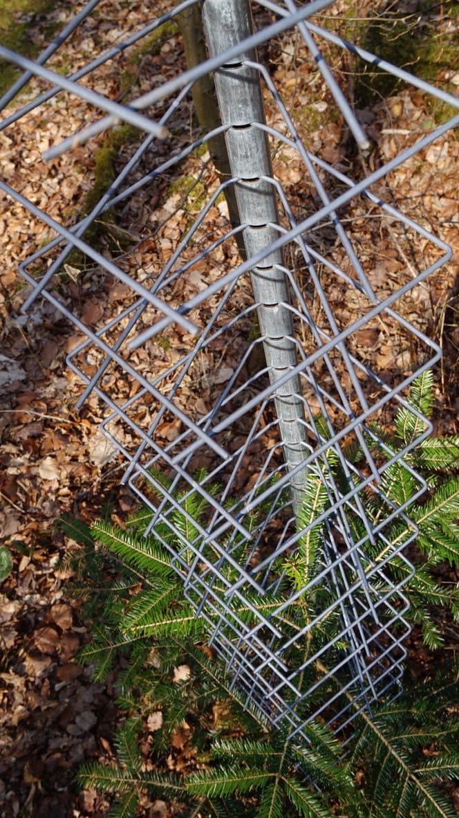 GroMM Einzelschützer Detailaufnahme mit Scherdornen
