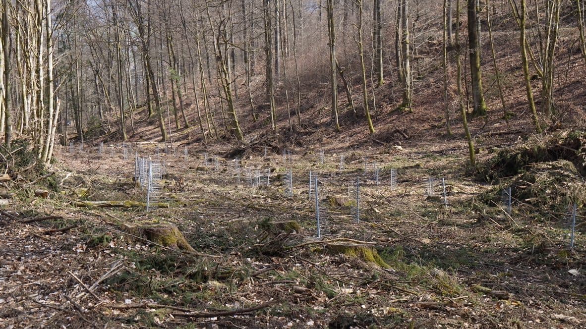 GroMM Einzelschützer im Einsatz auf einer großen Waldfläche